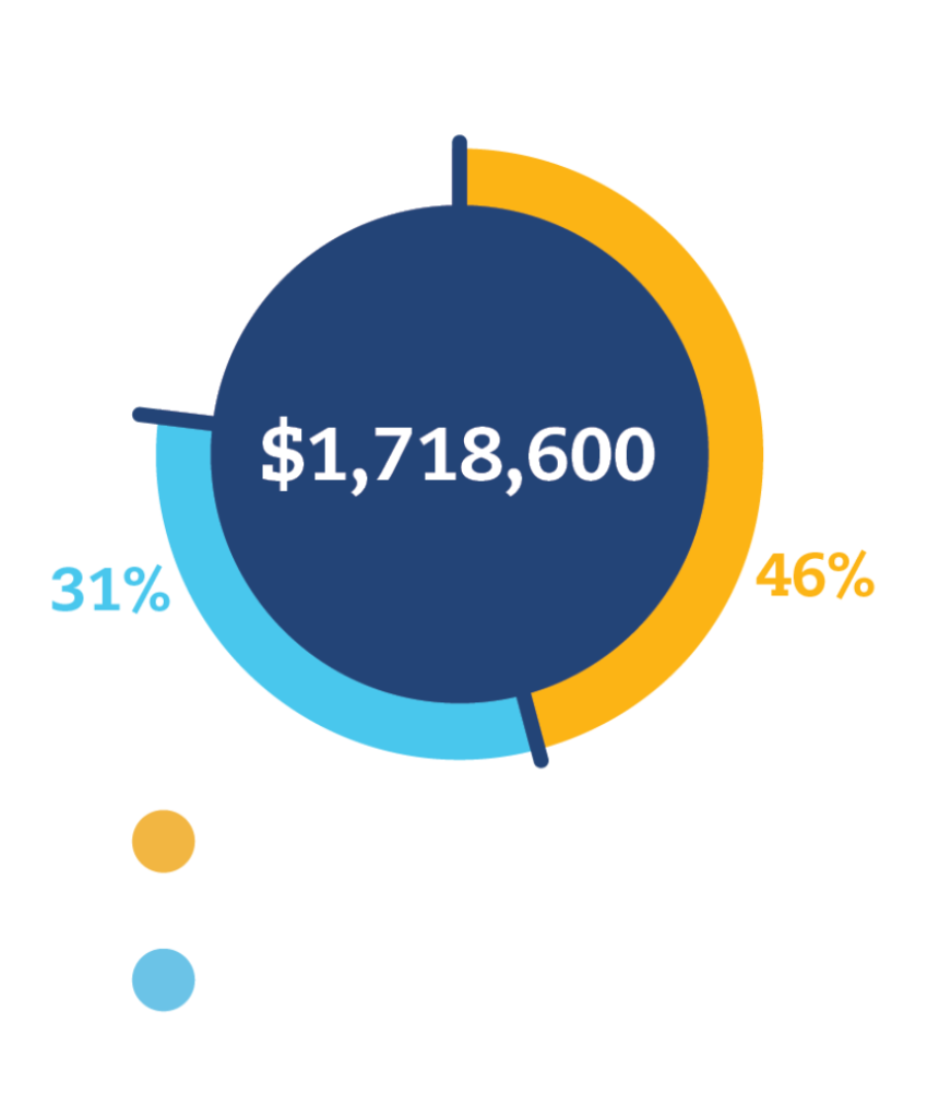 Program expense graphic